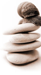 Why not let right at home lifestyle management and personal concierge services relieve your burden? Our services are crisp, professional and affordable – giving you more time to spend with friends and family or just more time to enjoy living.